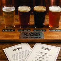 COMBINED (TABLE) - Pinta Antares Cream Stout 480cc